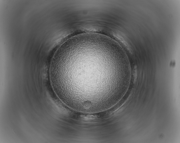 X0000090600359200707241049