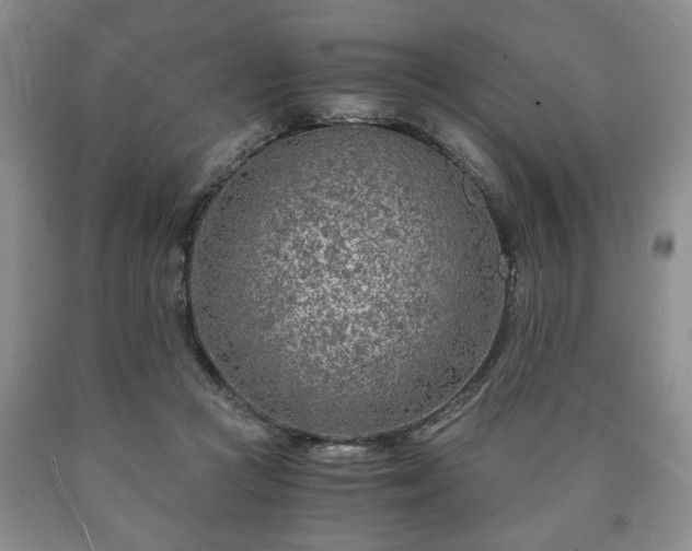 X0000090600361200707241049