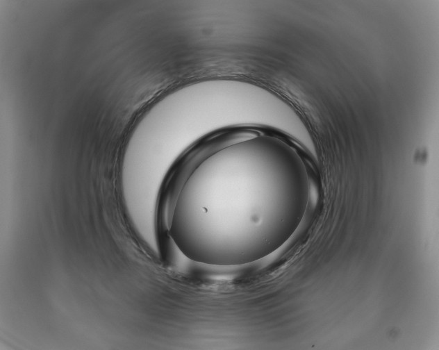 X0000090600362200707241049