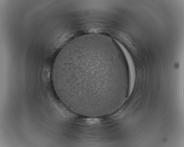 X0000090600363200707241049