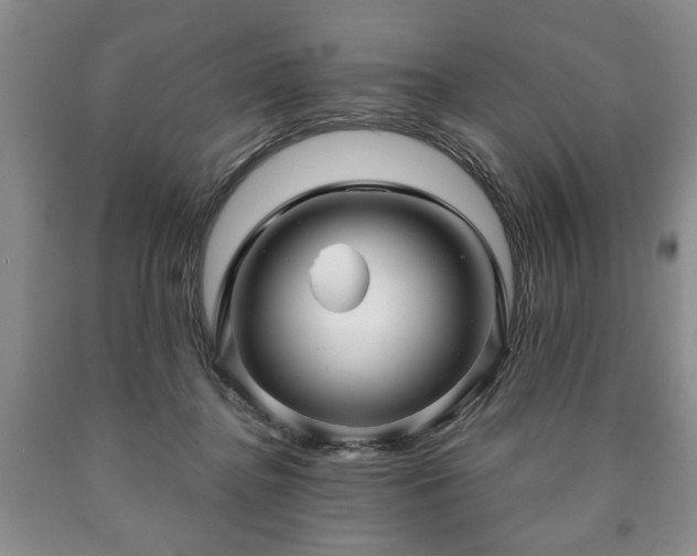 X0000090600364200707241049