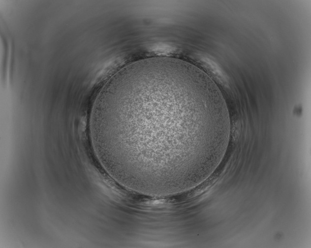 X0000090600365200707241049