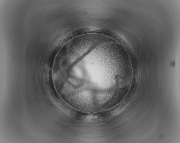 X0000090600366200707241049