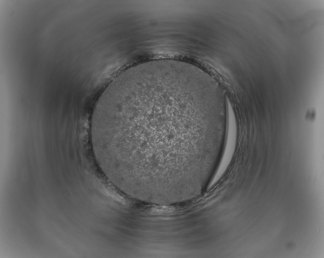 X0000090600369200707241049