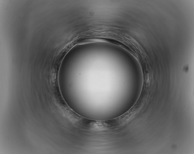 X0000090600372200707241049