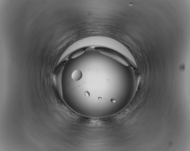 X0000090600376200707241049