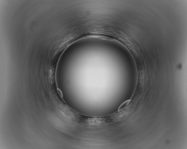 X0000090600378200707241049