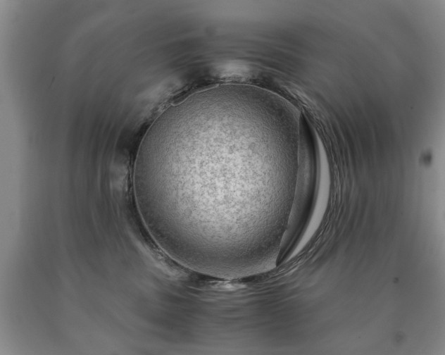 X0000090600379200707241049