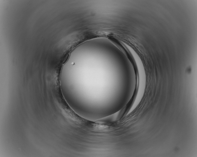 X0000090600380200707241049