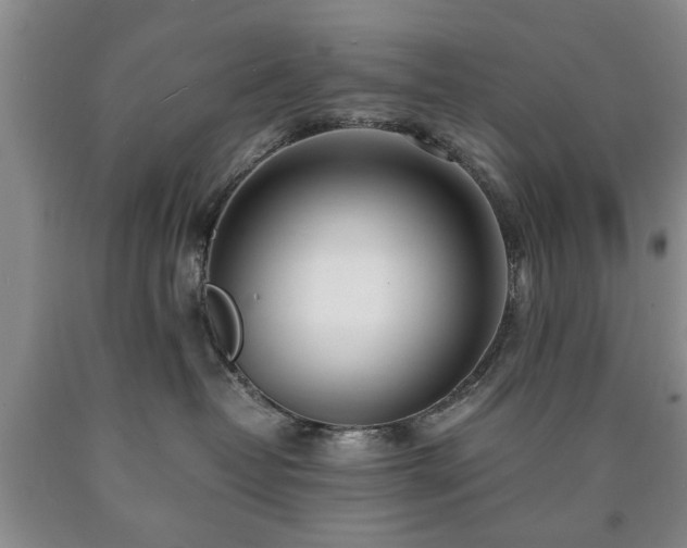 X0000090600382200707241049