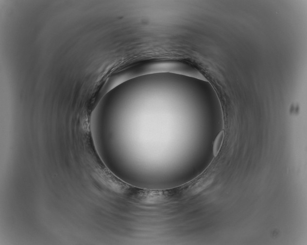 X0000090600384200707241049