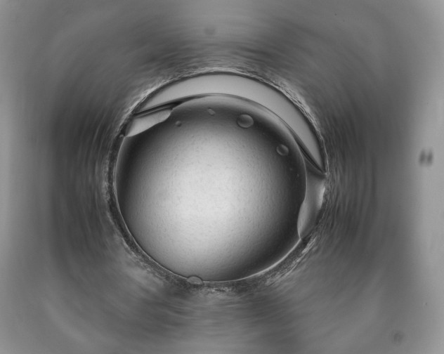 X0000090600386200707241048