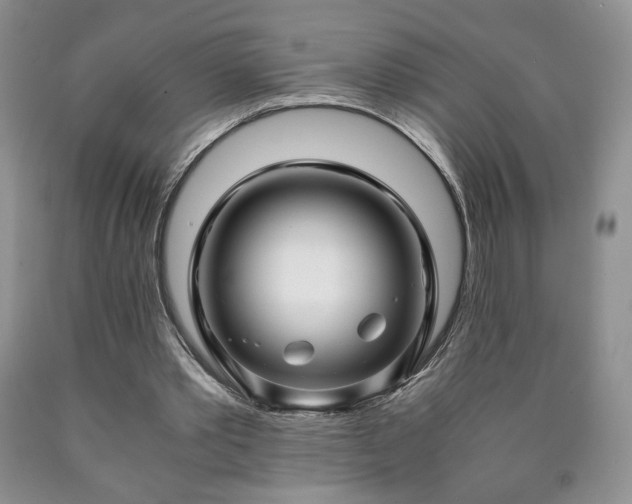 X0000090600389200707241048