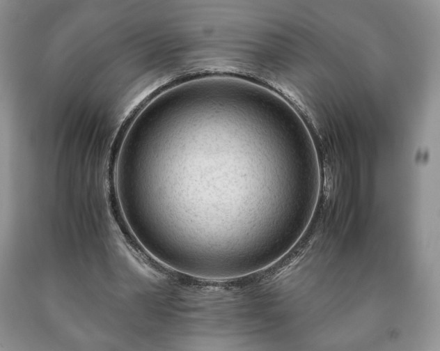 X0000090600390200707241048