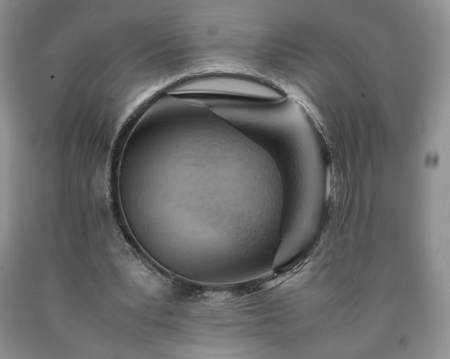 X0000090600391200707241048