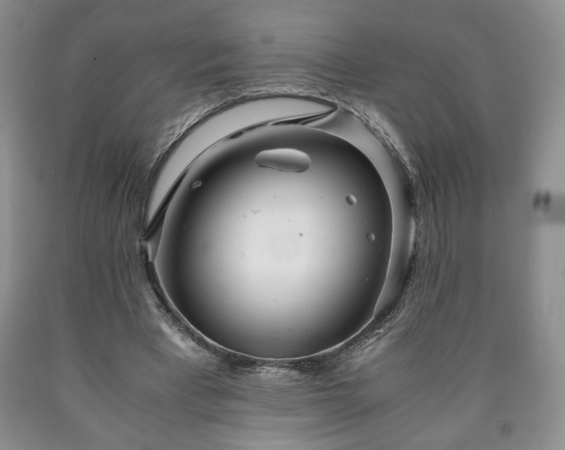 X0000090600393200707241048