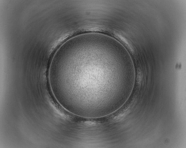 X0000090600394200707241048