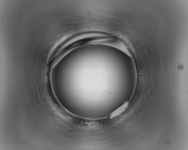 X0000090600395200707241048