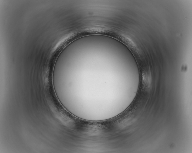 X0000090600396200707241048