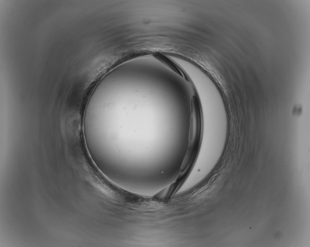 X0000090600397200707241048