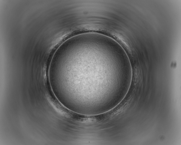 X0000090600398200707241048