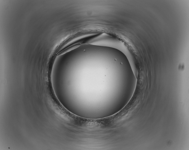 X0000090600399200707241048