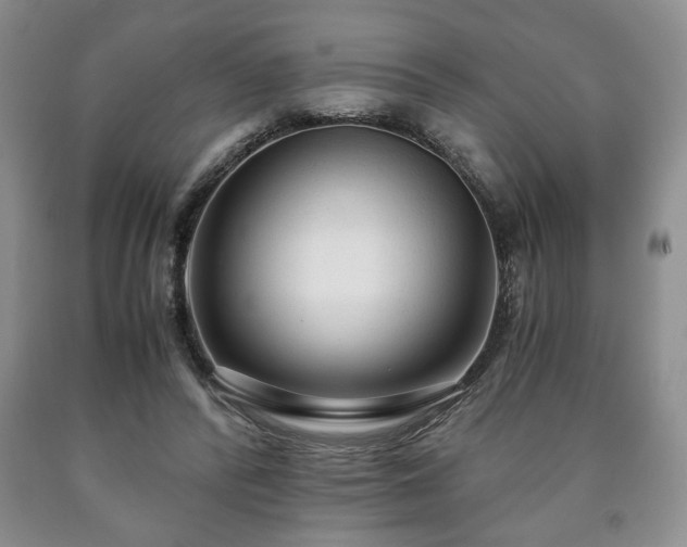 X0000090600400200707241048