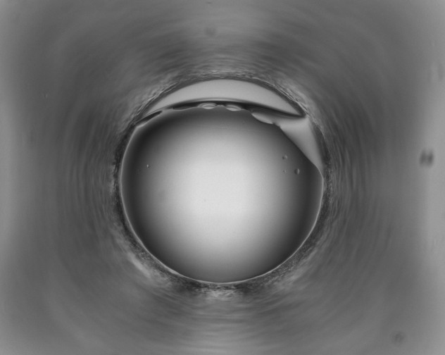 X0000090600401200707241048