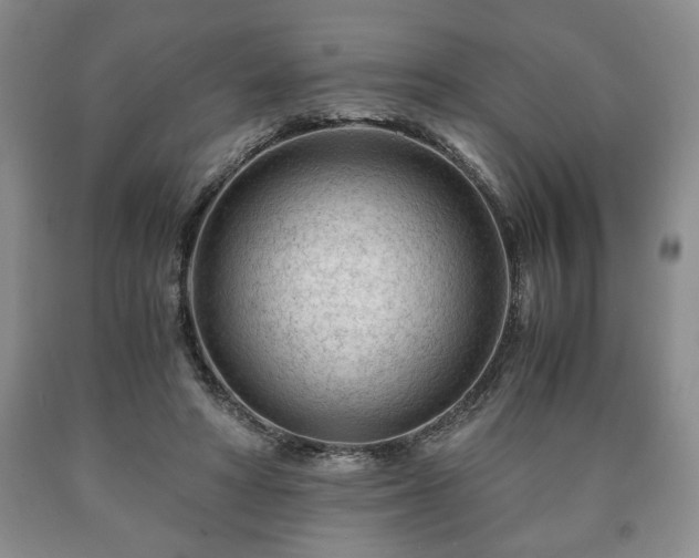 X0000090600402200707241048