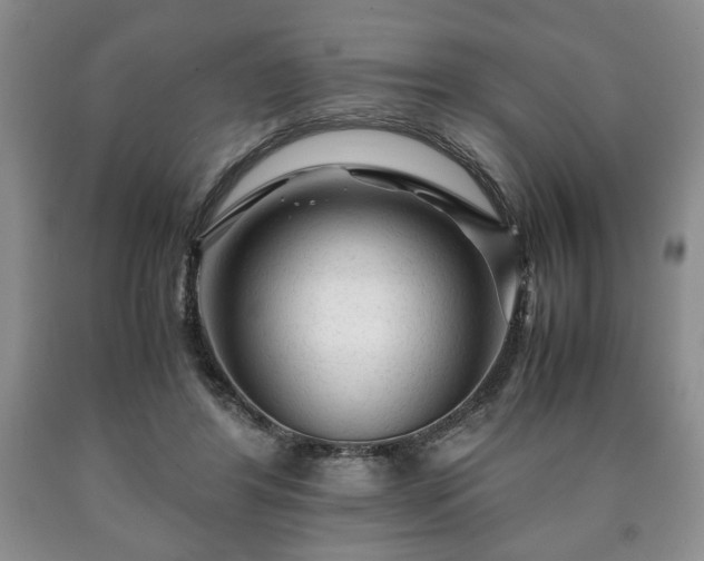 X0000090600404200707241048