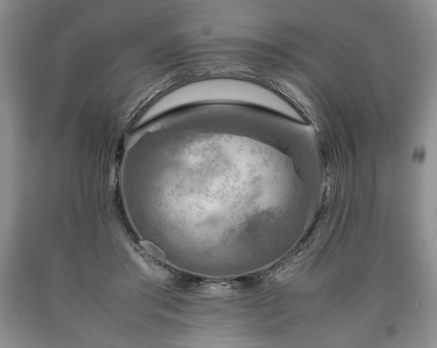 X0000090600405200707241048