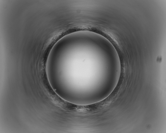 X0000090600407200707241048