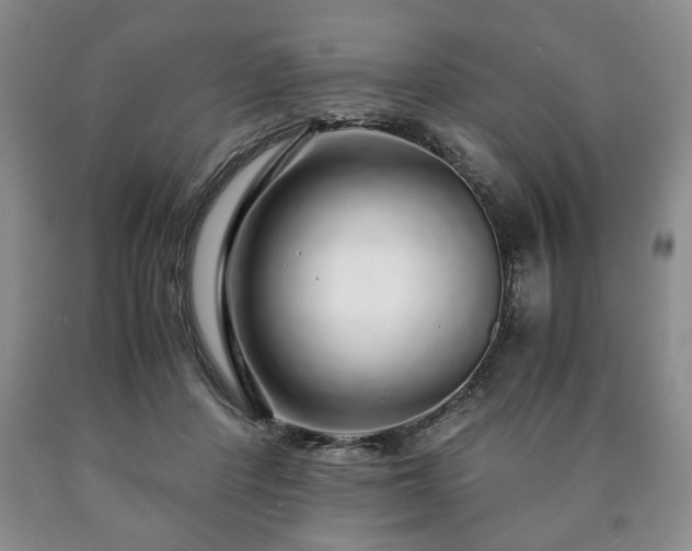 X0000090600408200707241048