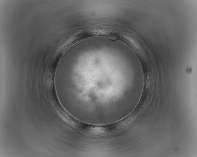 X0000090600409200707241048