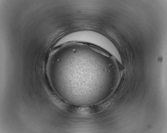 X0000090600410200707241048