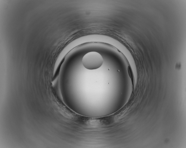 X0000090600413200707241048