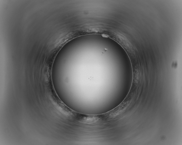 X0000090600414200707241048