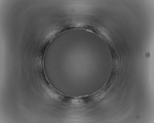 X0000090600415200707241048