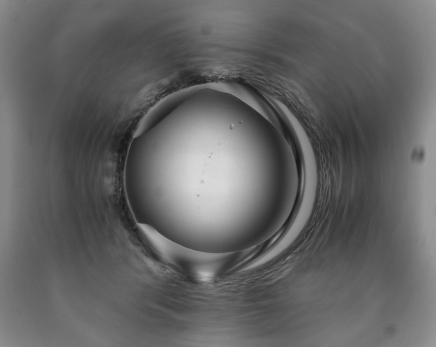 X0000090600416200707241048