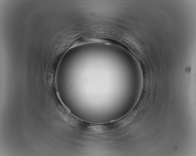 X0000090600417200707241048