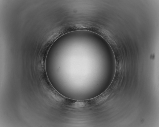 X0000090600418200707241048