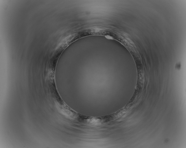 X0000090600419200707241048