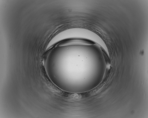 X0000090600421200707241048