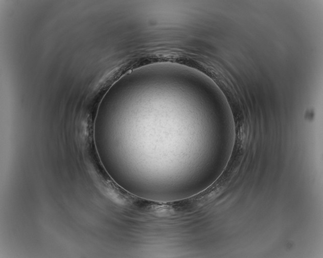 X0000090600424200707241048