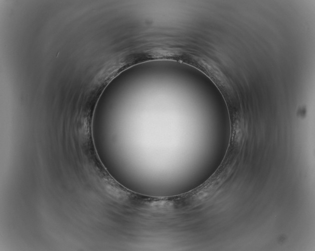 X0000090600426200707241048