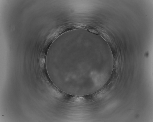 X0000090600427200707241048