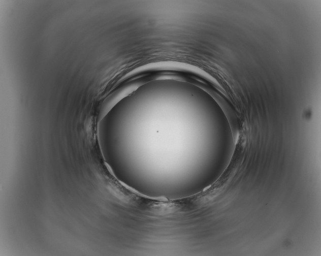 X0000090600428200707241048