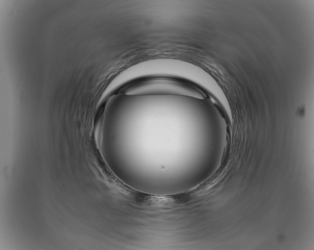 X0000090600429200707241048