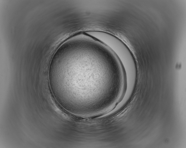 X0000090600433200707241047