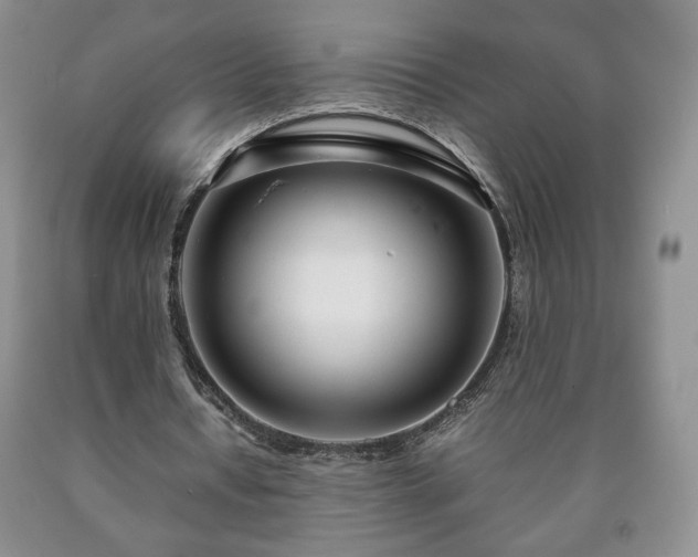 X0000090600434200707241047